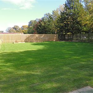 Grass playground surface around outdoor play area