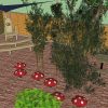 Belleville School 3D proposal mushroom seats and shade view