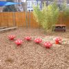 Belleville School mushroom seats view