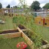 The Oval Primary School sensory garden with planters bamboo rainbow fencing and outdoor play features