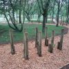 Burford Activity Trail stepping posts by AllOutPlay