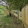 Tree-linked timber bridge run within a grassed outdoor play area