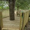 Raised timber platform built around a mature tree